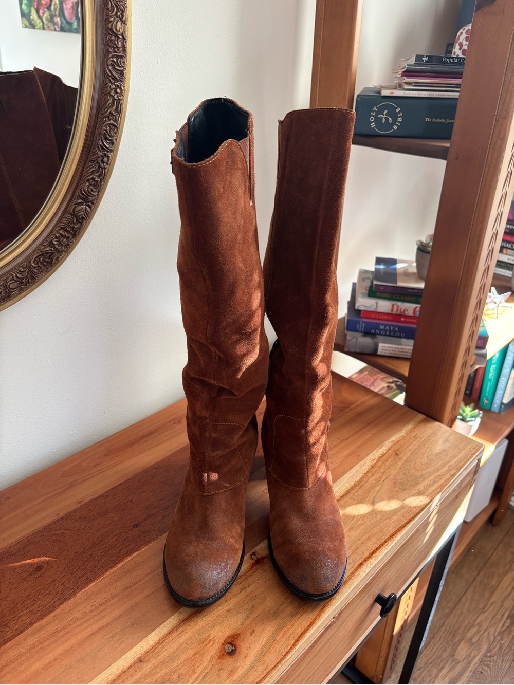 Brown Suede Knee-High Women's Boots